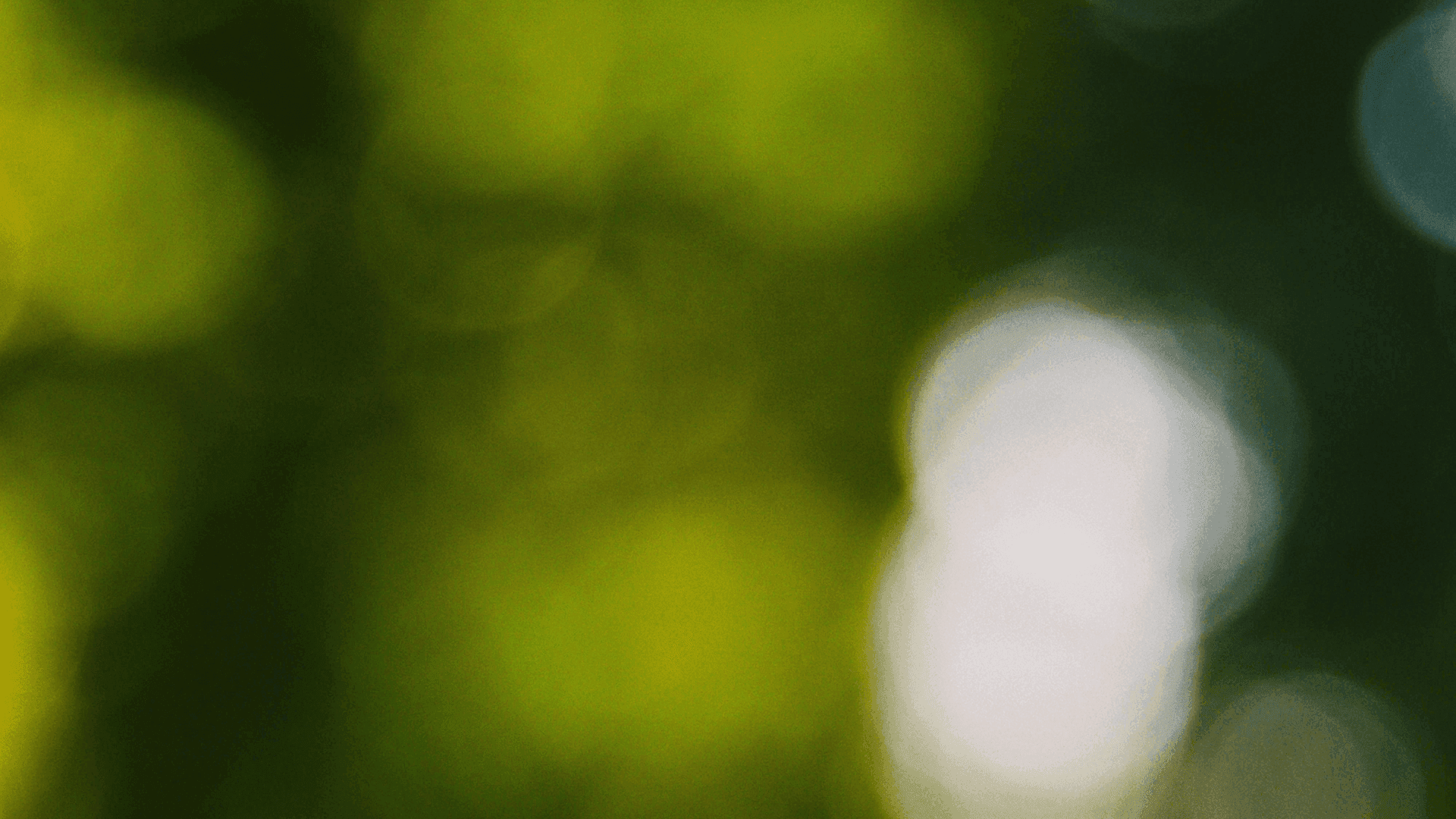 How do you stay online when infrastructure fails?