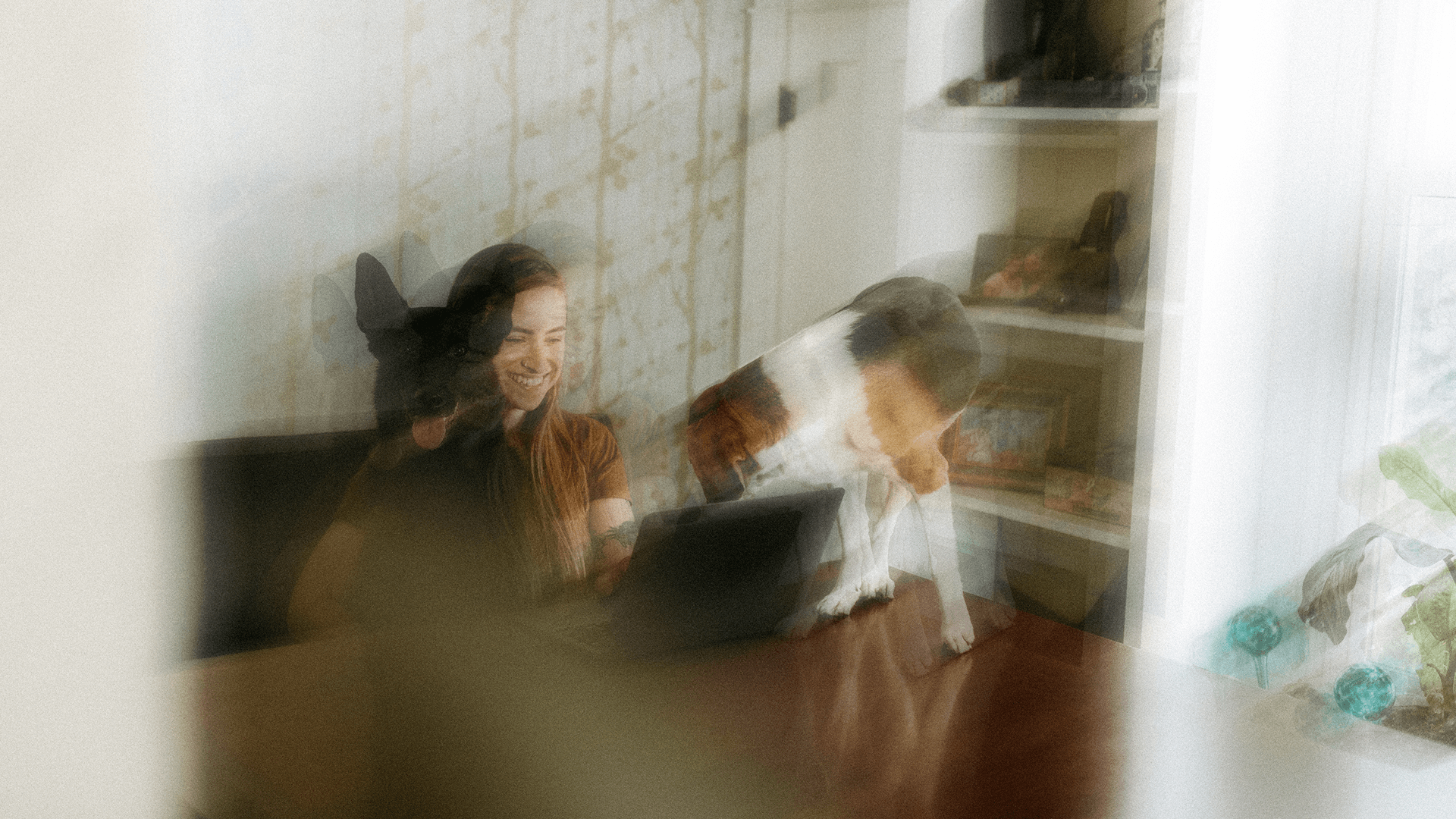 Connecting sites in just days with Fixed Wireless Access from Expereo
