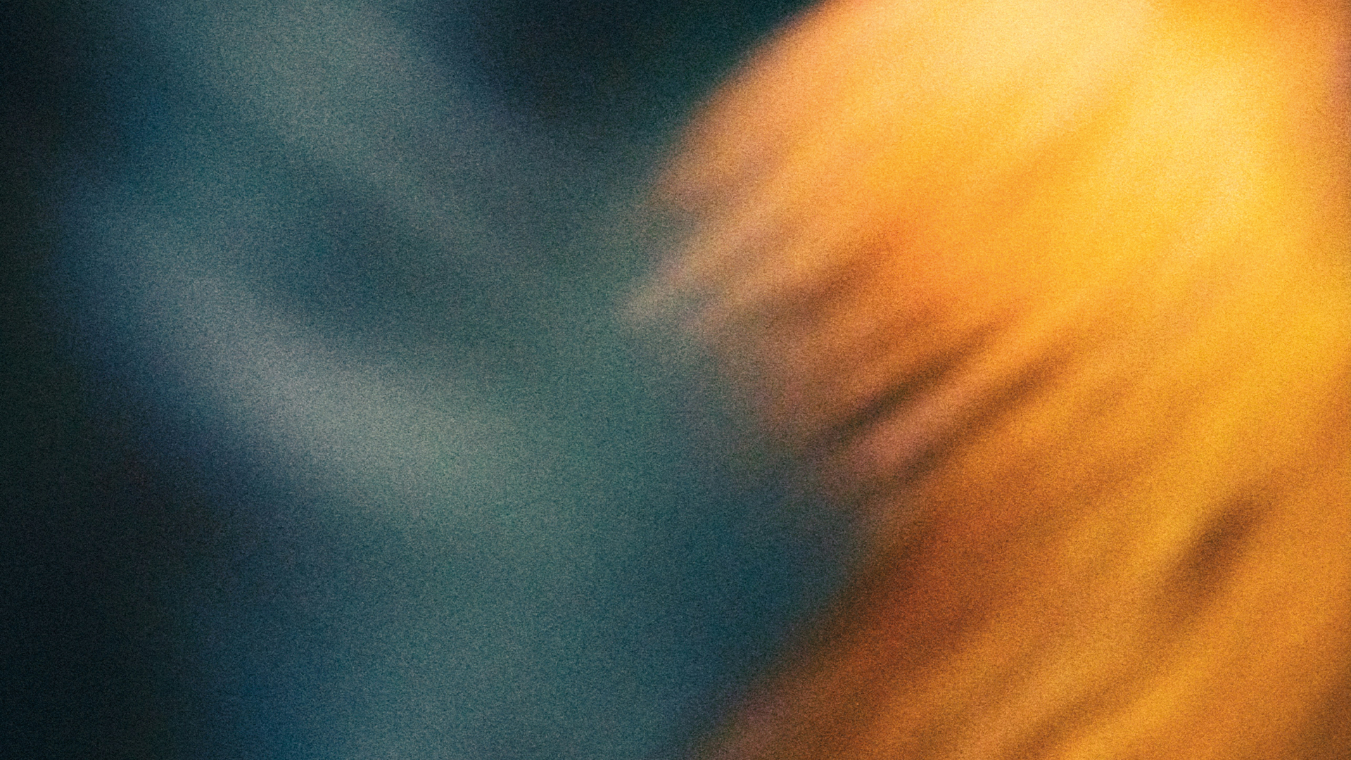 Expereo appoints Noel Hamill as Chief Marketing Officer