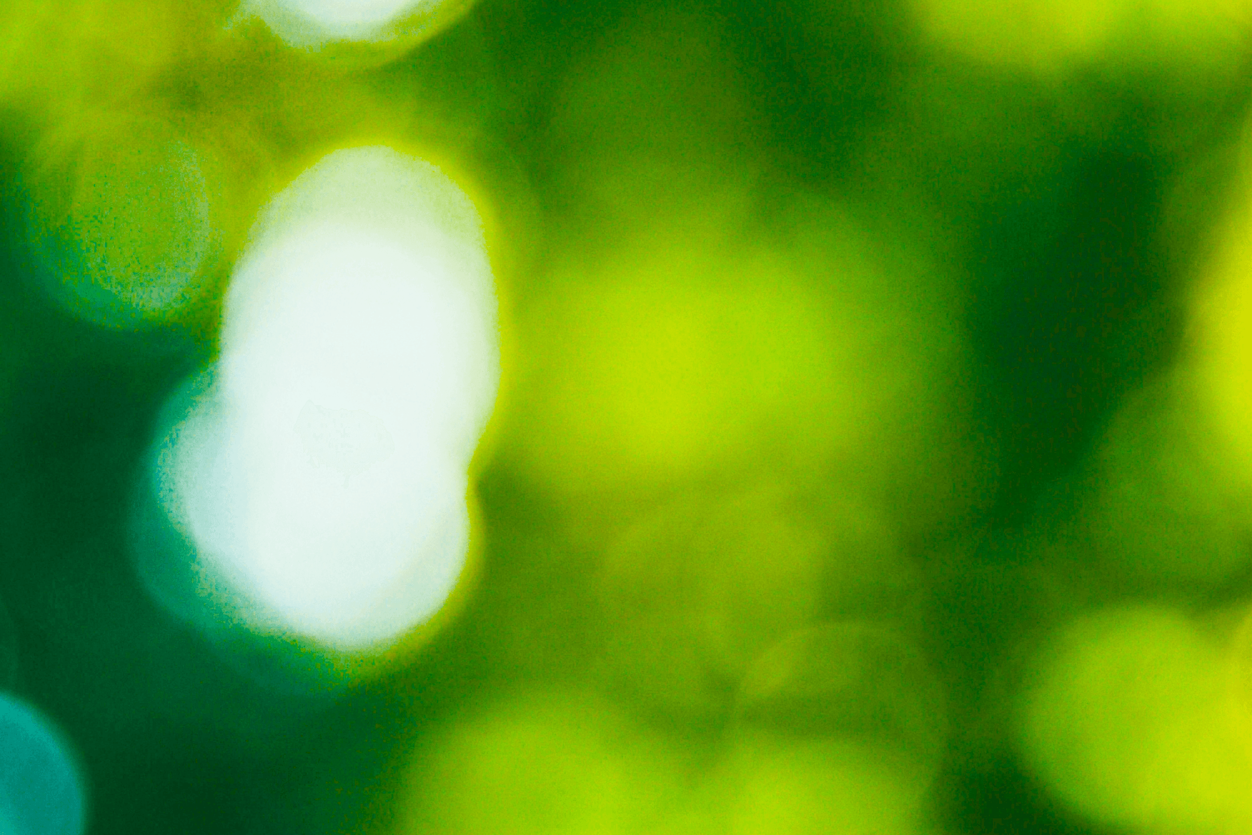 Network resilience in the Middle East starts with staying online